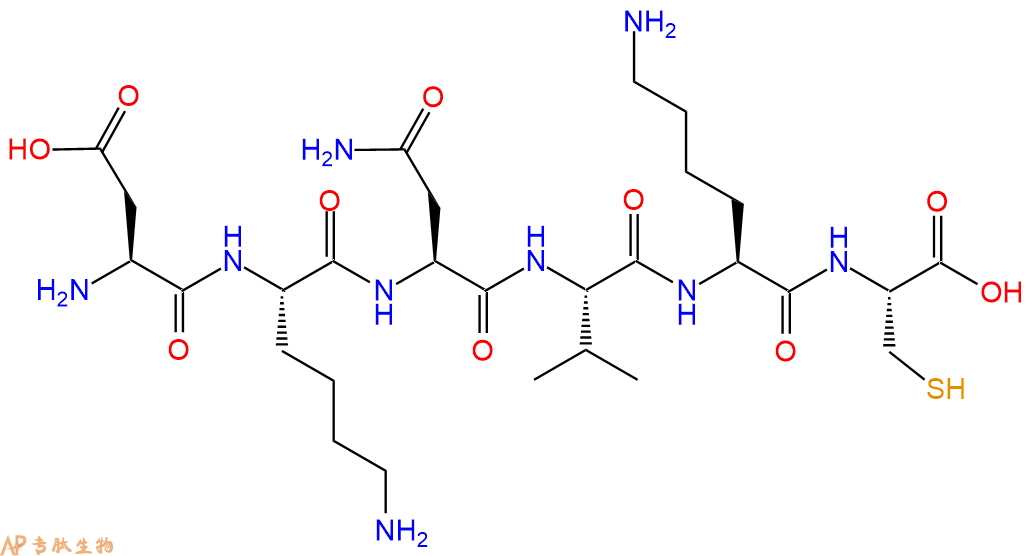 专肽生物产品H2N-Asp-Lys-Asn-Val-Lys-Cys-OH