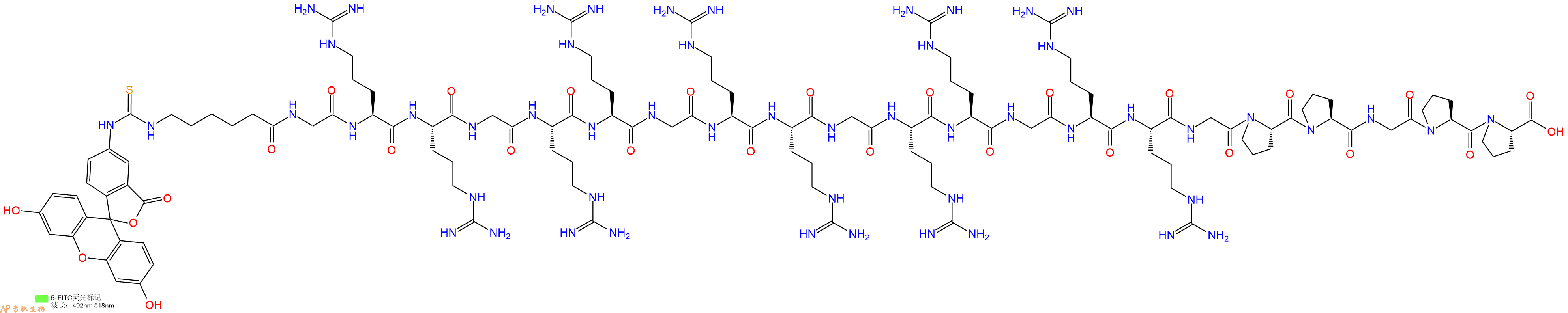 专肽生物产品5FITC-Ahx-Gly-Arg-Arg-Gly-Arg-Arg-Gly-Arg-Arg-Gly-Arg-Arg-Gly-Arg-Arg-Gly-Pro-Pro-Gly-Pro-Pro-OH