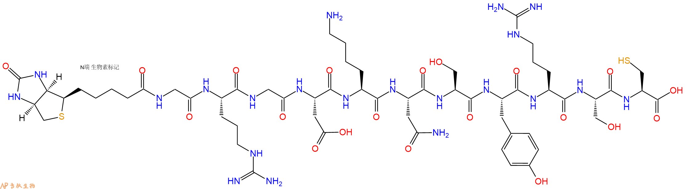 专肽生物产品Biotinyl-Gly-Arg-Gly-Asp-Lys-Asn-Ser-Tyr-Arg-Ser-Cys-OH