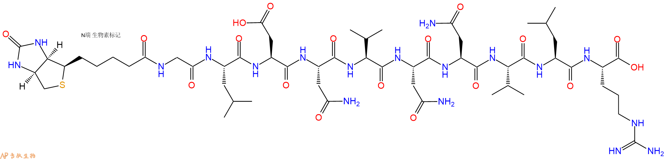 专肽生物产品Biotinyl-Gly-Leu-Asp-Asn-Val-Asn-Asn-Val-Leu-Arg-OH
