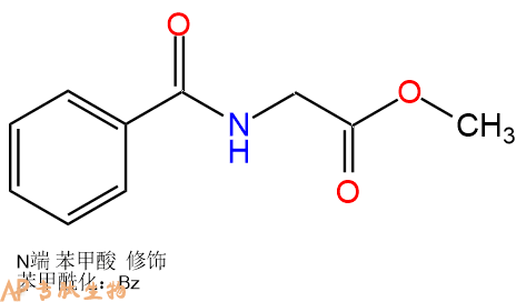 专肽生物产品N-苯甲酰基甘氨酸甲酯、Benzoyl-Gly-OMe1205-08-9