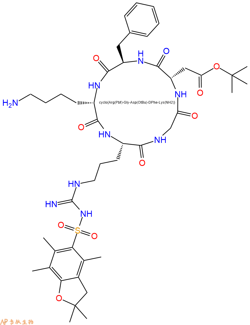 专肽生物产品带保护的c(RGDfK)：cyclic Arg(Pbf)-Gly-Asp(OtBu)-D-Phe-Lys(NH2)226559-04-2