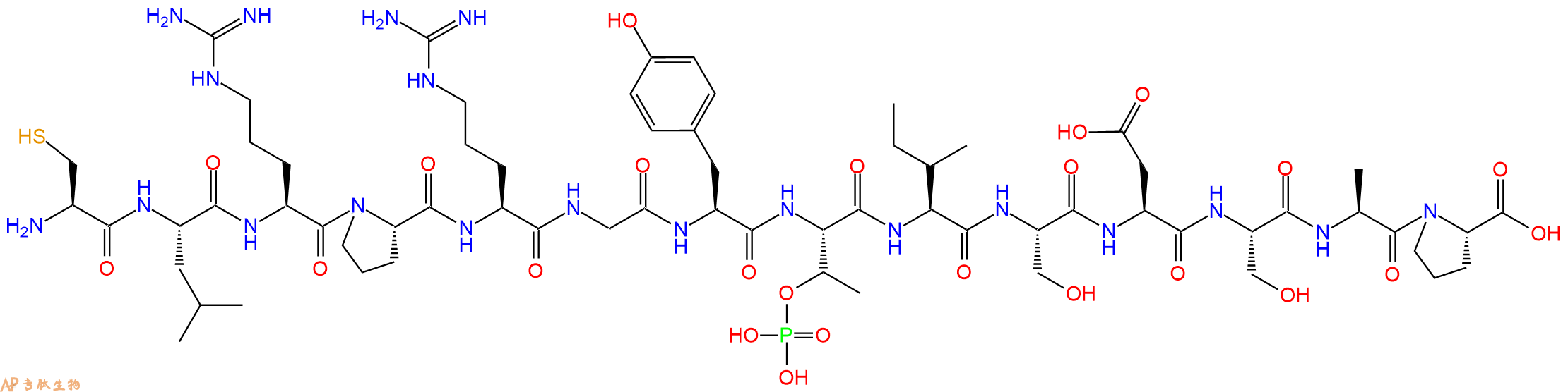 专肽生物产品H2N-Cys-Leu-Arg-Pro-Arg-Gly-Tyr-pThr-Ile-Ser-Asp-Ser-Ala-Pro-OH