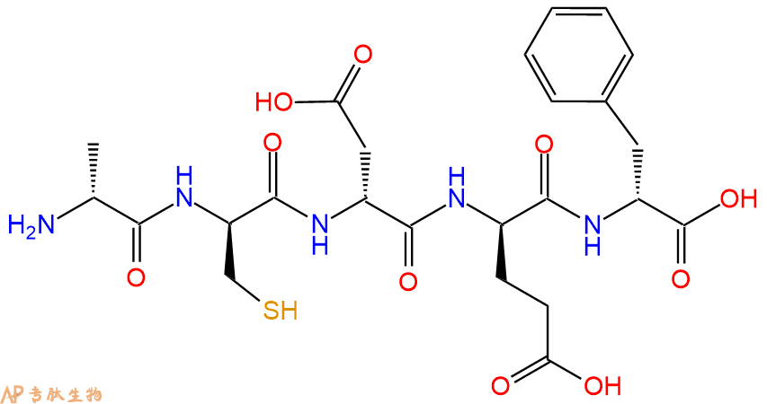 专肽生物产品H2N-DAla-DCys-DAsp-DGlu-DPhe-OH