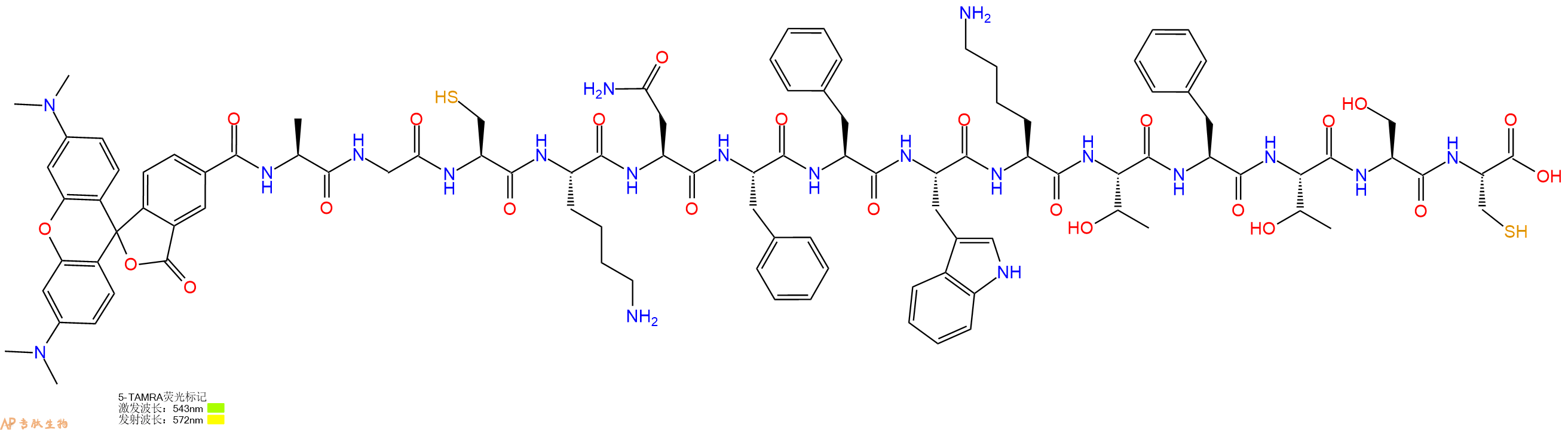 专肽生物产品5TAMRA-Ala-Gly-Cys-Lys-Asn-Phe-Phe-Trp-Lys-Thr-Phe-Thr-Ser-Cys-OH