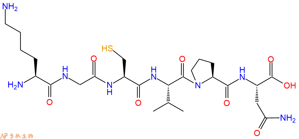 专肽生物产品H2N-Lys-Gly-Cys-Val-Pro-Asn-OH