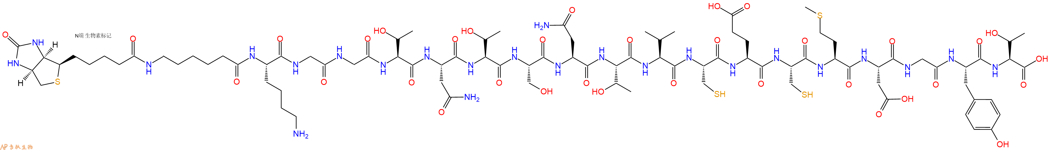 专肽生物产品Biotinyl-Ahx-Lys-Gly-Gly-Thr-Asn-Thr-Ser-Asn-Thr-Val-Cys-Glu-Cys-Met-Asp-Gly-Tyr-Thr-OH