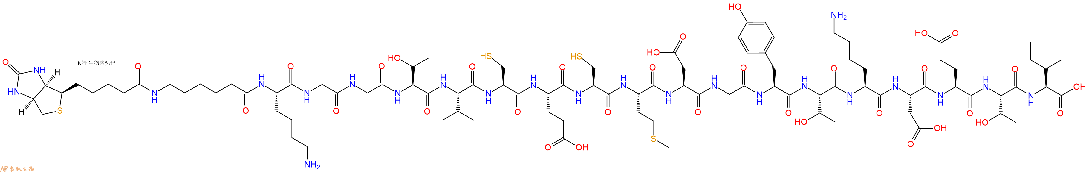 专肽生物产品Biotinyl-Ahx-Lys-Gly-Gly-Thr-Val-Cys-Glu-Cys-Met-Asp-Gly-Tyr-Thr-Lys-Asp-Glu-Thr-Ile-OH