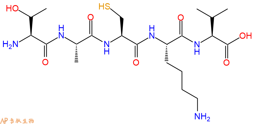 专肽生物产品H2N-Thr-Ala-Cys-Lys-Val-OH