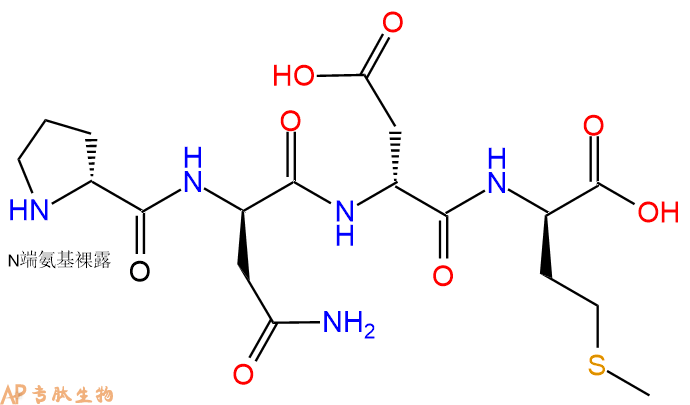 专肽生物产品H2N-DPro-DAsn-DAsp-DMet-OH