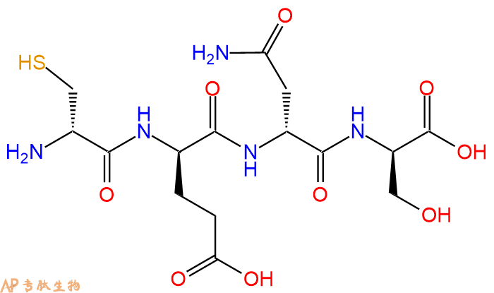 专肽生物产品H2N-DCys-DGlu-DAsn-DSer-OH
