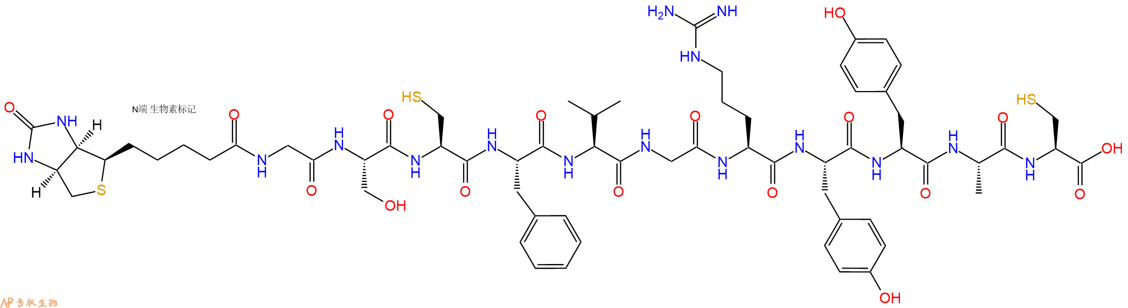 专肽生物产品Biotinyl-Gly-Ser-Cys-Phe-Val-Gly-Arg-Tyr-Tyr-Ala-Cys-OH