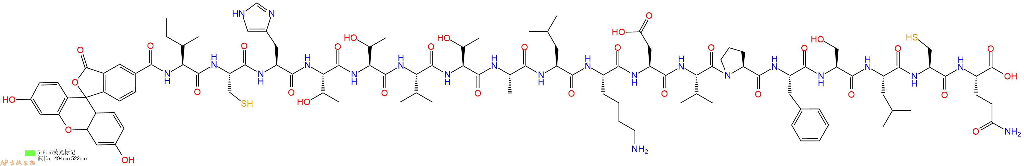 专肽生物产品5FAM-Ile-Cys-His-Thr-Thr-Val-Thr-Ala-Leu-Lys-Asp-Val-Pro-Phe-Ser-Leu-Cys-Gln-OH