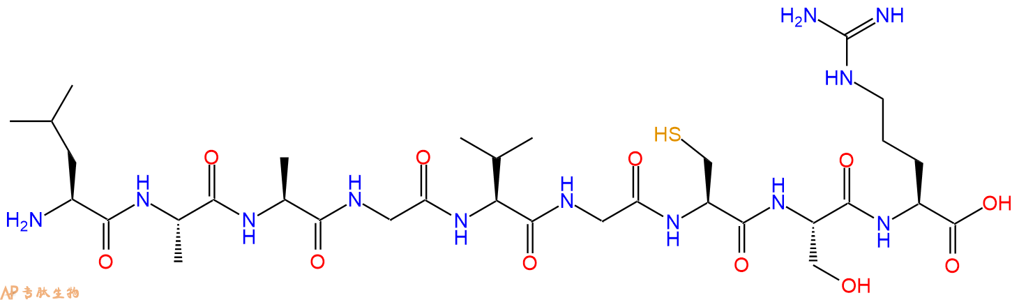 专肽生物产品H2N-Leu-Ala-Ala-Gly-Val-Gly-Cys-Ser-Arg-OH