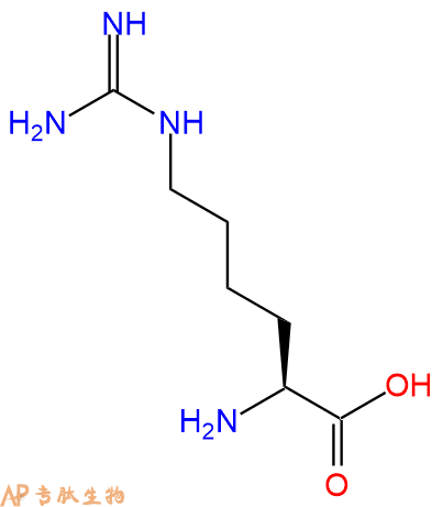 专肽生物产品H2N-HomoArg-OH