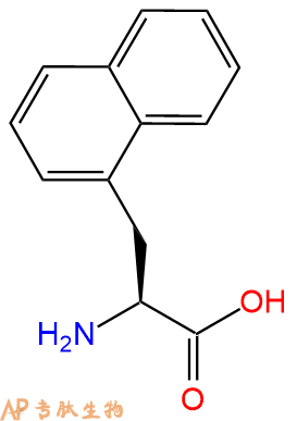 专肽生物产品H2N-1Nal-OH