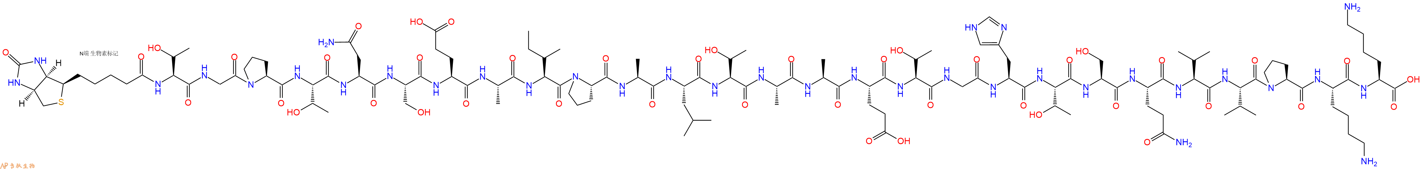 专肽生物产品Biotinyl-Thr-Gly-Pro-Thr-Asn-Ser-Glu-Ala-Ile-Pro-Ala-Leu-Thr-Ala-Ala-Glu-Thr-Gly-His-Thr-Ser-Gln-Val-Val-Pro-Lys-Lys-OH