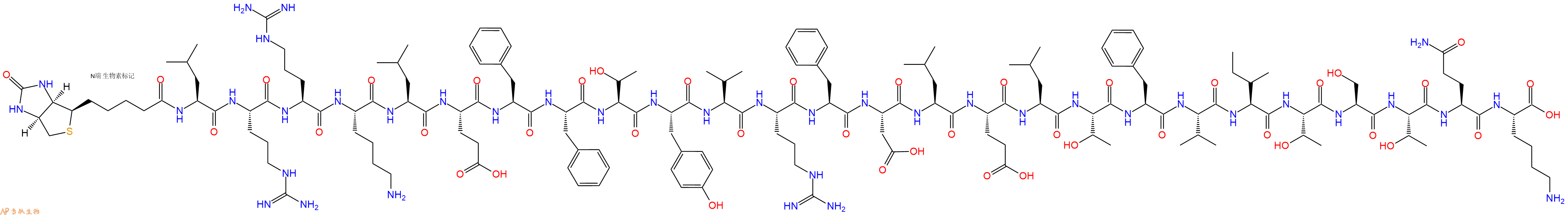 专肽生物产品Biotinyl-Leu-Arg-Arg-Lys-Leu-Glu-Phe-Phe-Thr-Tyr-Val-Arg-Phe-Asp-Leu-Glu-Leu-Thr-Phe-Val-Ile-Thr-Ser-Thr-Gln-Lys-OH