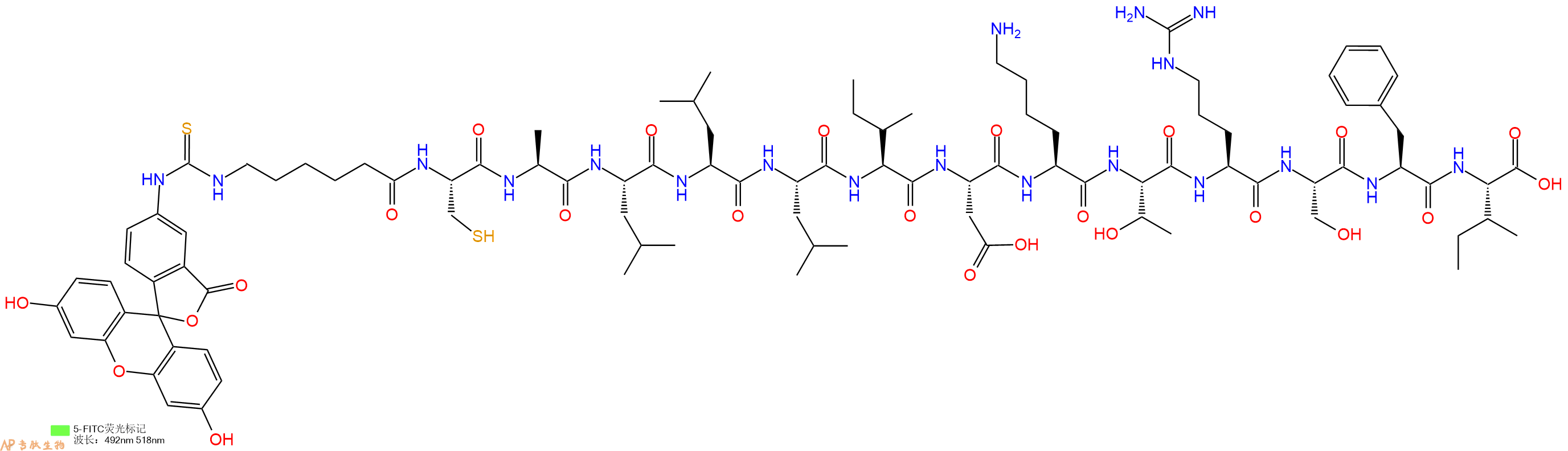 专肽生物产品5FITC-Ahx-Cys-Ala-Leu-Leu-Leu-Ile-Asp-Lys-Thr-Arg-Ser-Phe-Ile-OH