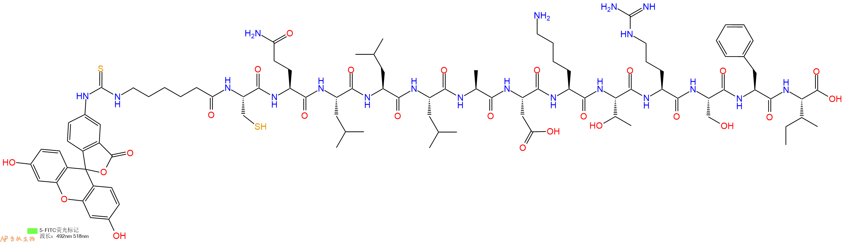 专肽生物产品5FITC-Ahx-Cys-Gln-Leu-Leu-Leu-Ala-Asp-Lys-Thr-Arg-Ser-Phe-Ile-OH