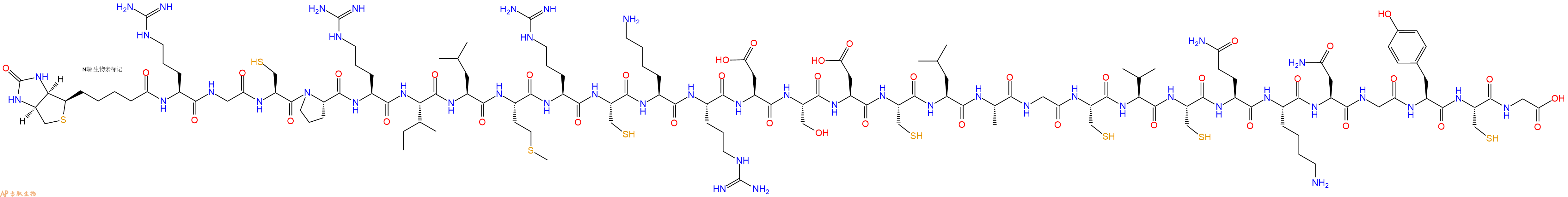 专肽生物产品Biotinyl-Arg-Gly-Cys-Pro-Arg-Ile-Leu-Met-Arg-Cys-Lys-Arg-Asp-Ser-Asp-Cys-Leu-Ala-Gly-Cys-Val-Cys-Gln-Lys-Asn-Gly-Tyr-Cys-Gly-OH