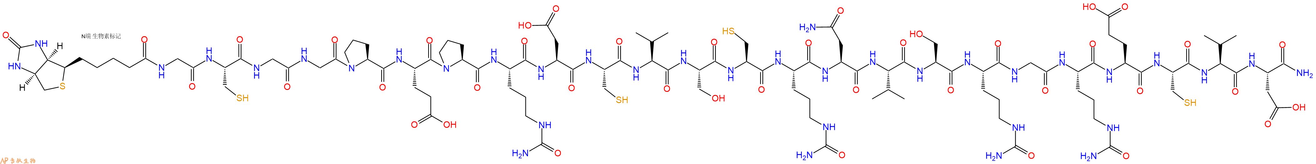 专肽生物产品Biotinyl-Gly-Cys-Gly-Gly-Pro-Glu-Pro-Cit-Asp-Cys-Val-Ser-Cys-Cit-Asn-Val-Ser-Cit-Gly-Cit-Glu-Cys-Val-Asp-CONH2