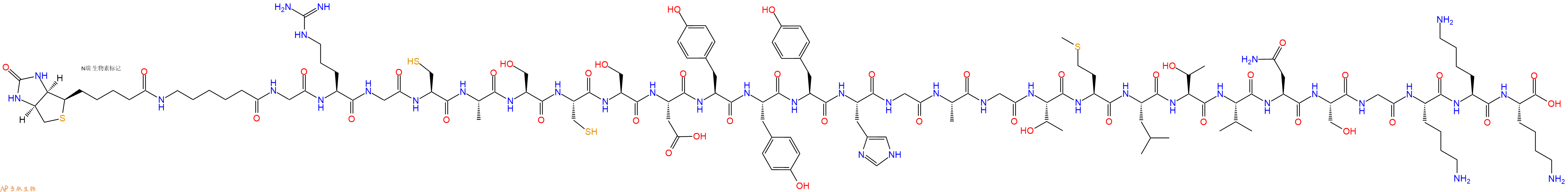 专肽生物产品Biotinyl-Ahx-Gly-Arg-Gly-Cys-Ala-Ser-Cys-Ser-Asp-Tyr-Tyr-Tyr-His-Gly-Ala-Gly-Thr-Met-Leu-Thr-Val-Asn-Ser-Gly-Lys-Lys-Lys-OH