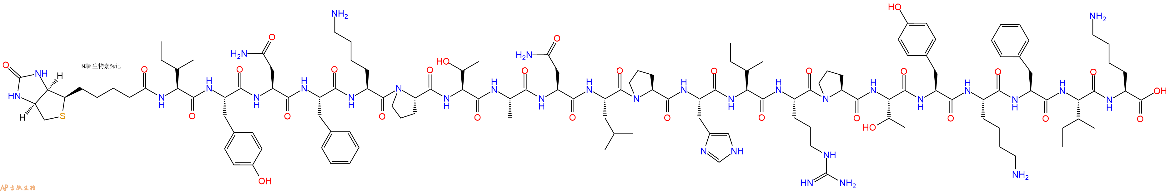 专肽生物产品Biotinyl-Ile-Tyr-Asn-Phe-Lys-Pro-Thr-Ala-Asn-Leu-Pro-His-Ile-Arg-Pro-Thr-Tyr-Lys-Phe-Ile-Lys-OH