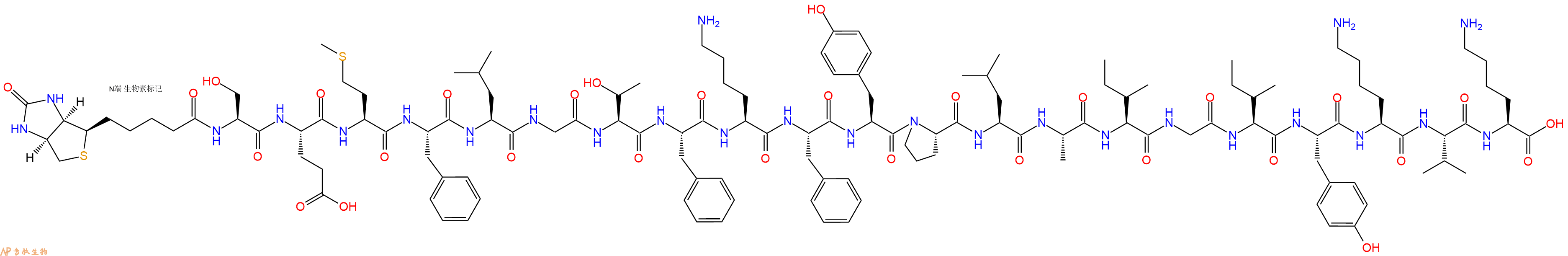 专肽生物产品Biotinyl-Ser-Glu-Met-Phe-Leu-Gly-Thr-Phe-Lys-Phe-Tyr-Pro-Leu-Ala-Ile-Gly-Ile-Tyr-Lys-Val-Lys-OH
