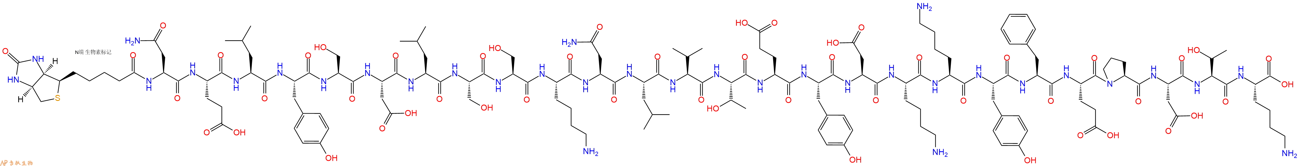 专肽生物产品Biotinyl-Asn-Glu-Leu-Tyr-Ser-Asp-Leu-Ser-Ser-Lys-Asn-Leu-Val-Thr-Glu-Tyr-Asp-Lys-Lys-Tyr-Phe-Glu-Pro-Asp-Thr-Lys-OH
