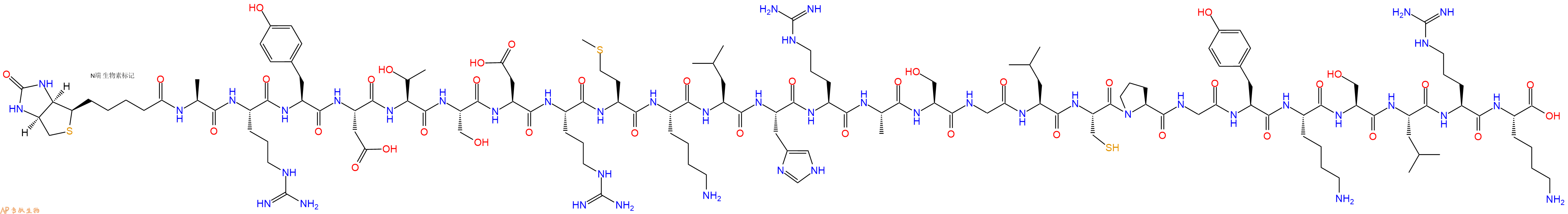 专肽生物产品Biotinyl-Ala-Arg-Tyr-Asp-Thr-Ser-Asp-Arg-Met-Lys-Leu-His-Arg-Ala-Ser-Gly-Leu-Cys-Pro-Gly-Tyr-Lys-Ser-Leu-Arg-Lys-OH
