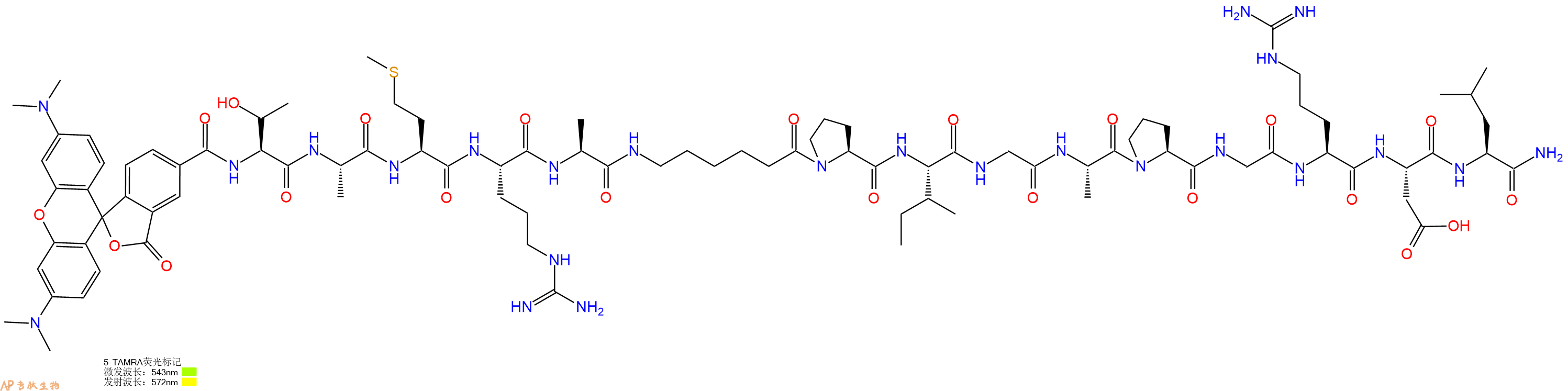 专肽生物产品5TAMRA-Thr-Ala-Met-Arg-Ala-Ahx-Pro-Ile-Gly-Ala-Pro-Gly-Arg-Asp-Leu-CONH2