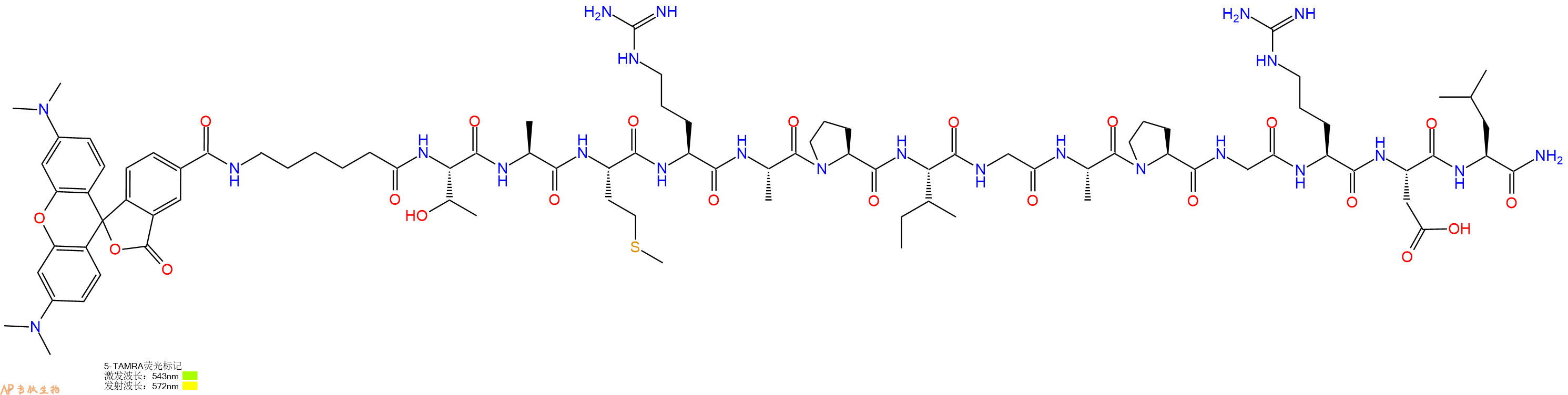 专肽生物产品5TAMRA-Ahx-Thr-Ala-Met-Arg-Ala-Pro-Ile-Gly-Ala-Pro-Gly-Arg-Asp-Leu-CONH2