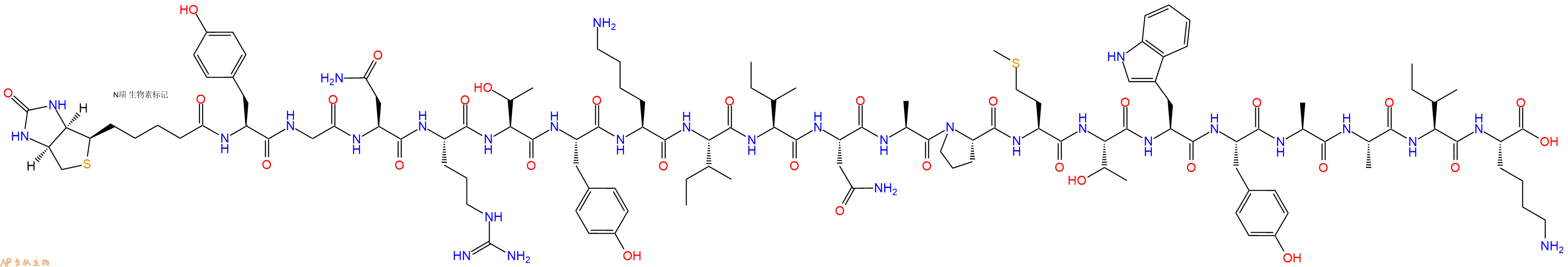 专肽生物产品Biotinyl-Tyr-Gly-Asn-Arg-Thr-Tyr-Lys-Ile-Ile-Asn-Ala-Pro-Met-Thr-Trp-Tyr-Ala-Ala-Ile-Lys-OH