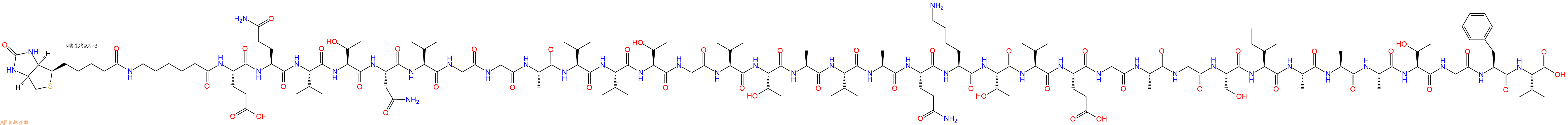 专肽生物产品Biotinyl-Ahx-Glu-Gln-Val-Thr-Asn-Val-Gly-Gly-Ala-Val-Val-Thr-Gly-Val-Thr-Ala-Val-Ala-Gln-Lys-Thr-Val-Glu-Gly-Ala-Gly-Ser-Ile-Ala-Ala-Ala-Thr-Gly-Phe-Val-OH