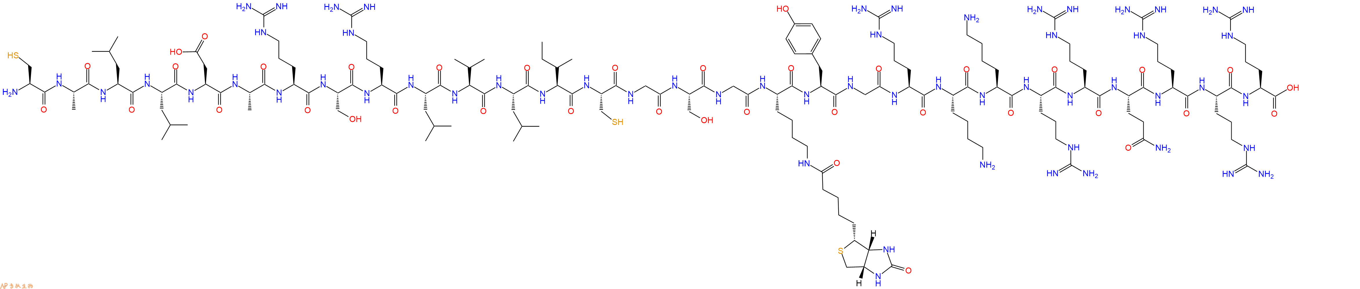 专肽生物产品H2N-Cys-Ala-Leu-Leu-Asp-Ala-Arg-Ser-Arg-Leu-Val-Leu-Ile-Cys-Gly-Ser-Gly-Lys(Biotin)-Tyr-Gly-Arg-Lys-Lys-Arg-Arg-Gln-Arg-Arg-Arg-OH
