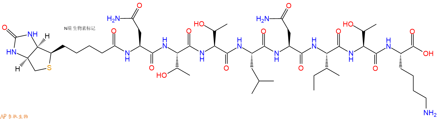 专肽生物产品Biotinyl-Asn-Thr-Thr-Leu-Asn-Ile-Thr-Lys-OH