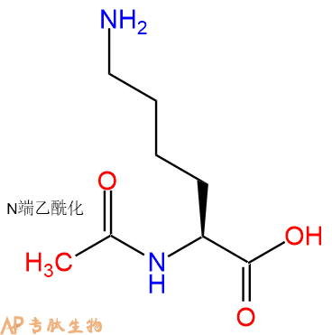 专肽生物产品Ac-Lys-OH