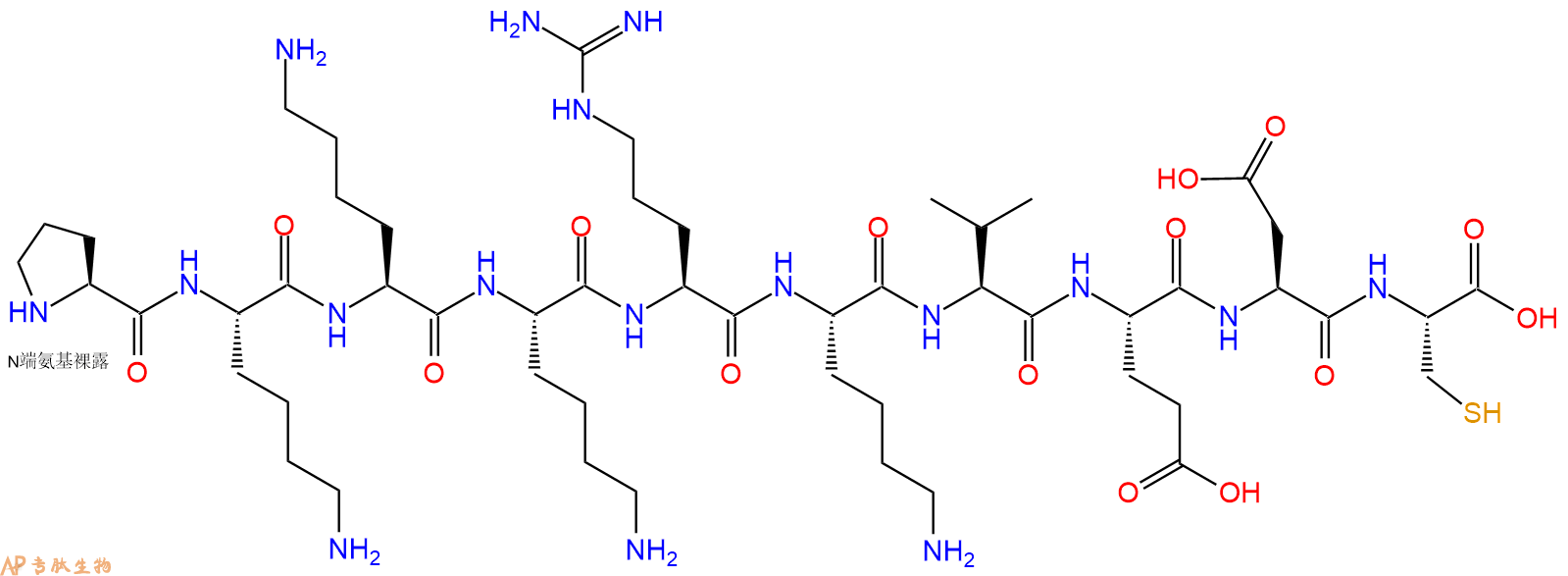 专肽生物产品H2N-Pro-Lys-Lys-Lys-Arg-Lys-Val-Glu-Asp-Cys-OH