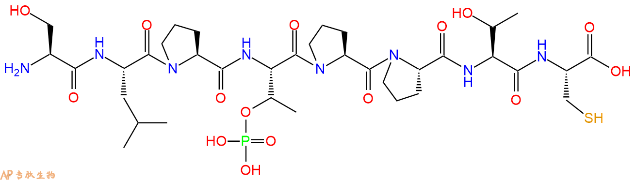 专肽生物产品H2N-Ser-Leu-Pro-pThr-Pro-Pro-Thr-Cys-OH