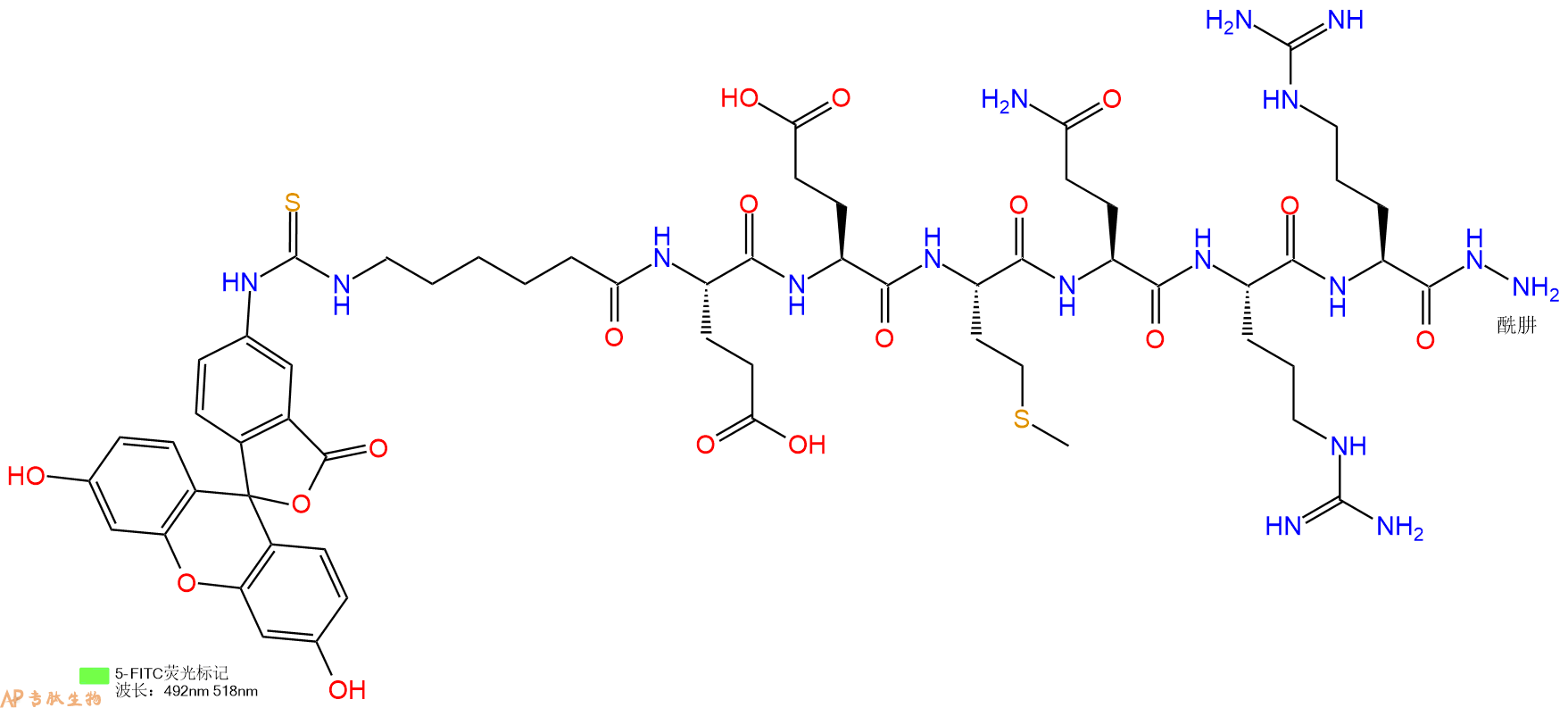 专肽生物产品5FITC-Ahx-Glu-Glu-Met-Gln-Arg-Arg-Hydrazide