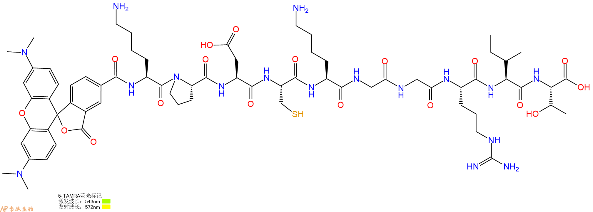专肽生物产品5TAMRA-Lys-Pro-Asp-Cys-Lys-Gly-Gly-Arg-Ile-Thr-OH