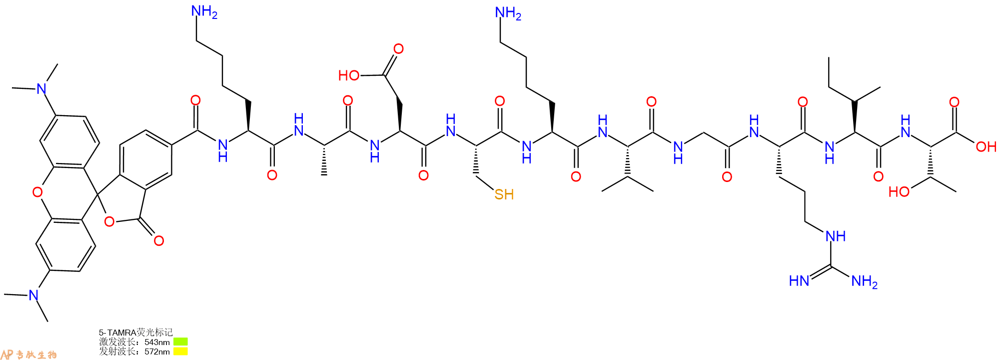 专肽生物产品5TAMRA-Lys-Ala-Asp-Cys-Lys-Val-Gly-Arg-Ile-Thr-OH
