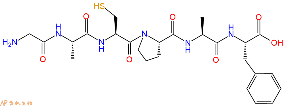 专肽生物产品H2N-Gly-Ala-Cys-Pro-Ala-Phe-OH
