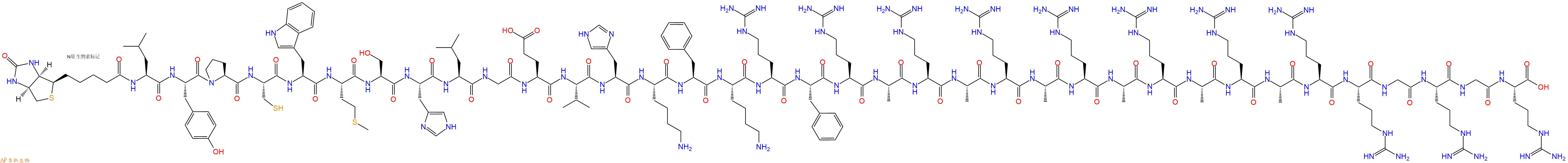 专肽生物产品Biotinyl-Leu-Tyr-Pro-Cys-Trp-Met-Ser-His-Leu-Gly-Glu-Val-His-Lys-Phe-Lys-Arg-Phe-Arg-Ala-Arg-Ala-Arg-Ala-Arg-Ala-Arg-Ala-Arg-Ala-Arg-Arg-Gly-Arg-Gly-Arg-OH