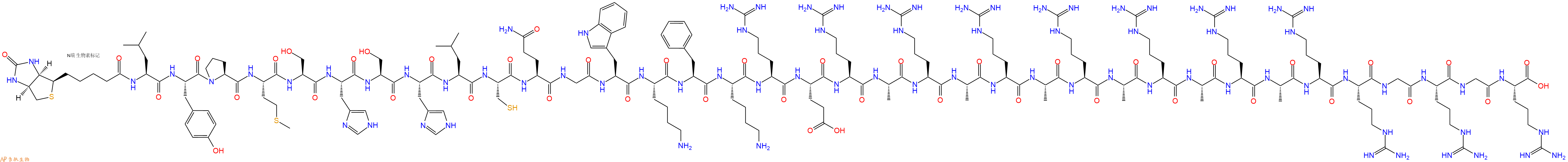 专肽生物产品Biotinyl-Leu-Tyr-Pro-Met-Ser-His-Ser-His-Leu-Cys-Gln-Gly-Trp-Lys-Phe-Lys-Arg-Glu-Arg-Ala-Arg-Ala-Arg-Ala-Arg-Ala-Arg-Ala-Arg-Ala-Arg-Arg-Gly-Arg-Gly-Arg-OH