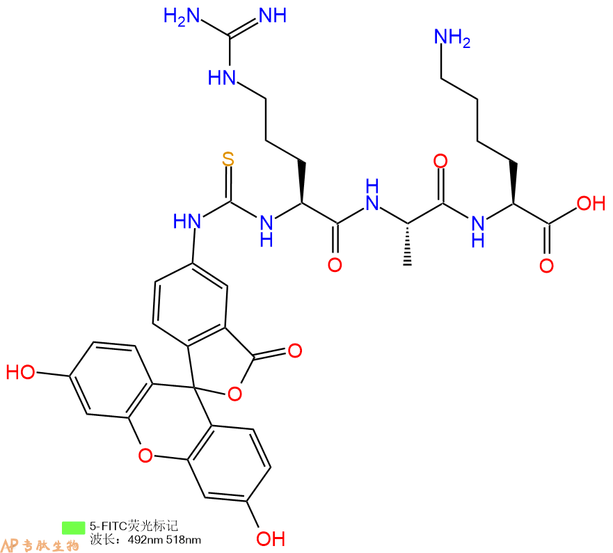 专肽生物产品5FITC-Arg-Ala-Lys-OH