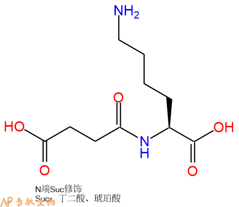 专肽生物产品Suc-Lys-OH