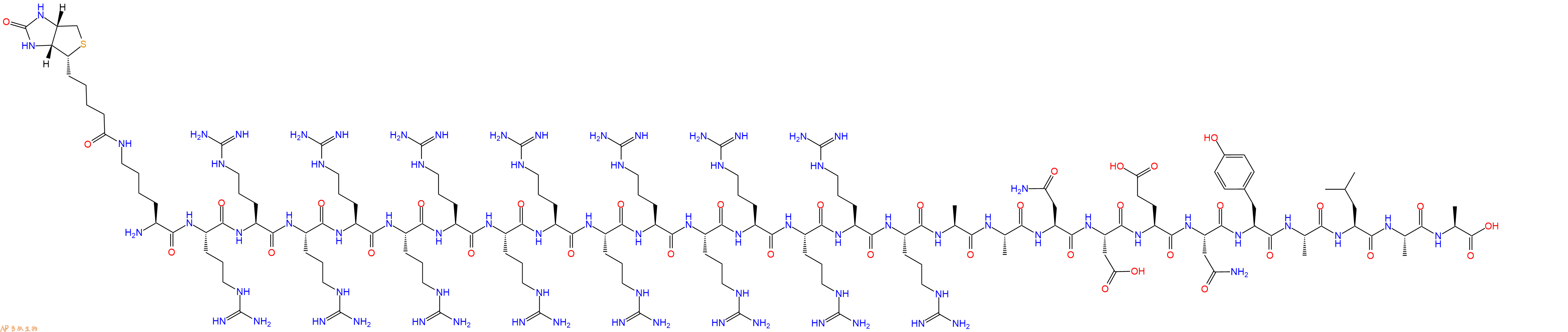 专肽生物产品H2N-Lys(Biotin)-Arg-Arg-Arg-Arg-Arg-Arg-Arg-Arg-Arg-Arg-Arg-Arg-Arg-Arg-Arg-Ala-Ala-Asn-Asp-Glu-Asn-Tyr-Ala-Leu-Ala-Ala-OH