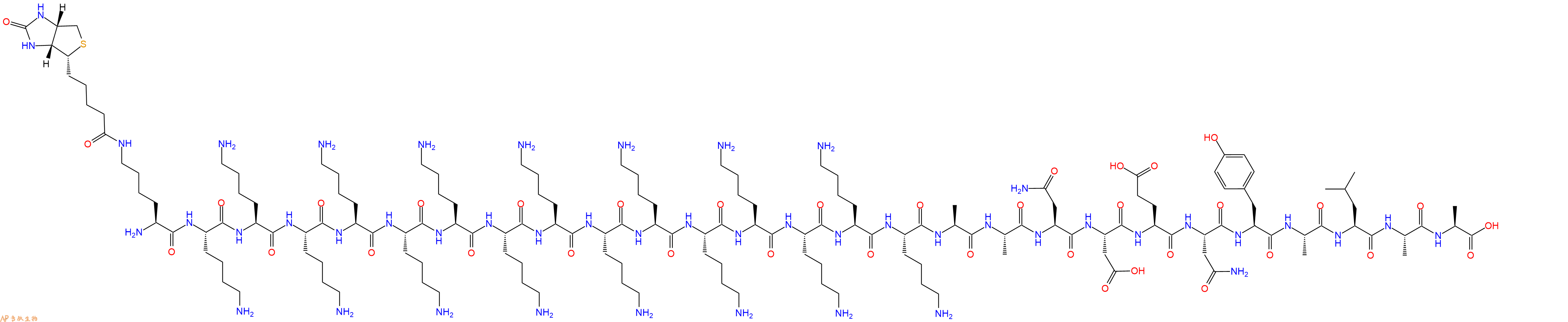 专肽生物产品H2N-Lys(Biotin)-Lys-Lys-Lys-Lys-Lys-Lys-Lys-Lys-Lys-Lys-Lys-Lys-Lys-Lys-Lys-Ala-Ala-Asn-Asp-Glu-Asn-Tyr-Ala-Leu-Ala-Ala-OH
